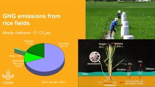 Climate-smart, sustainable and nutritious food for all