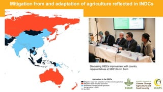 Climate-smart, sustainable and nutritious food for all