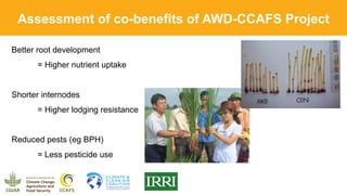 Climate-smart, sustainable and nutritious food for all