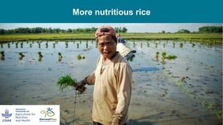 Climate-smart, sustainable and nutritious food for all