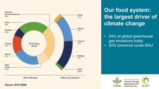 Climate-smart, sustainable and nutritious food for all