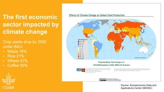 Climate-smart, sustainable and nutritious food for all