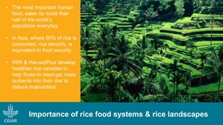 Climate-smart, sustainable and nutritious food for all