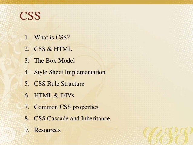 Css Basics
