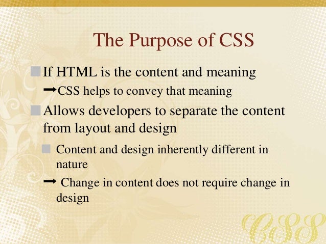Css Basics