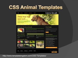 http://www.templatekingdom.com/CSS-Templates/ 