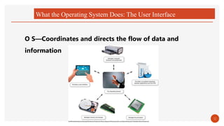 What the Operating System Does: The User Interface
O S—Coordinates and directs the flow of data and
information
12
 