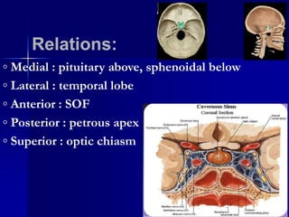 ◦ Medial : pituitary above, sphenoidal below
◦ Lateral : temporal lobe
◦ Anterior : SOF
◦ Posterior : petrous apex
◦ Superior : optic chiasm
Relations: