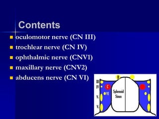 Contents
oculomotor nerve (CN III)
trochlear nerve (CN IV)
ophthalmic nerve (CNV1)
maxillary nerve (CNV2)
abducens nerve (CN VI)