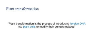 Comprehensive Overview of Plant Transformation Methods in Genetic ...