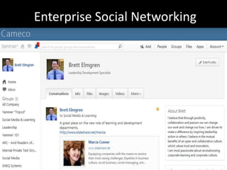 Enterprise Social Networking 
 