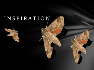 I N S P I R A T I O N
 