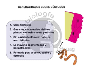 CéStodos | PPT