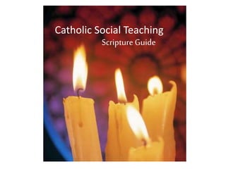 Catholic Social Teaching
Scripture Guide
 
