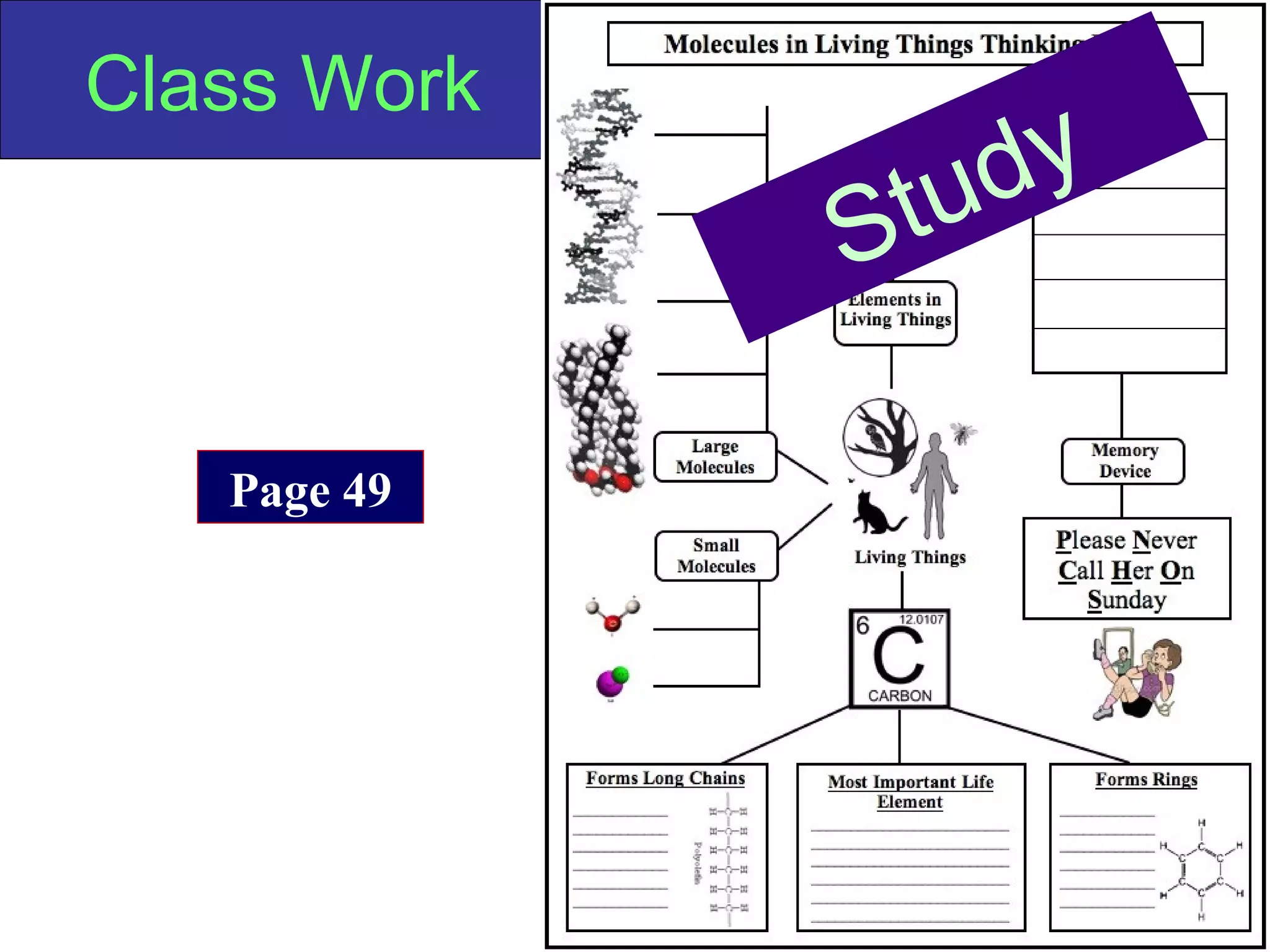 Copyright Richards 2009
Class Work
Page 49
Study
 