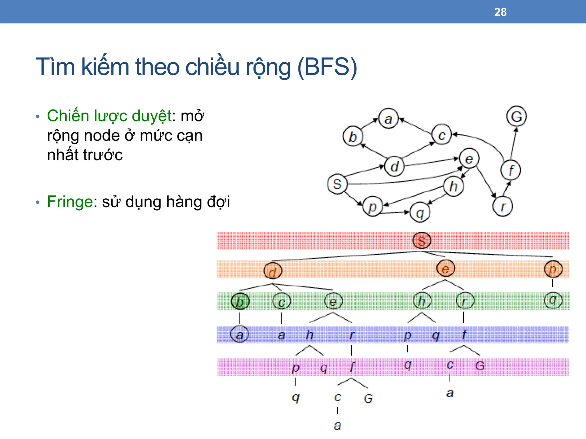 Tìm kiếm theo chiều rộng (BFS)
28
• Chiến lược duyệt: mở
rộng node ở mức cạn
nhất trước
• Fringe: sử dụng hàng đợi
 