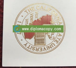 CSU diploma fake degree seal