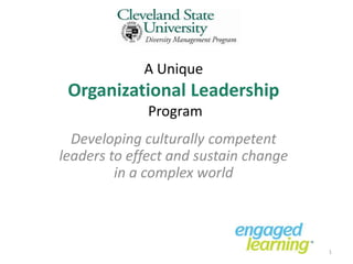 A Unique
 Organizational Leadership
             Program
  Developing culturally competent
leaders to effect and sustain change
         in a complex world



                                       1
 