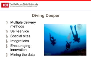 Diving Deeper Multiple delivery methods Self-service Special sites Integrations Encouraging innovation Mining the data 