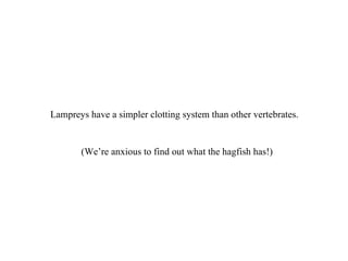 Lampreys have a simpler clotting system than other vertebrates. (We’re anxious to find out what the hagfish has!) 