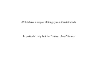 All  fish have a simpler clotting system than tetrapods.   In particular, they lack the “contact phase” factors.   