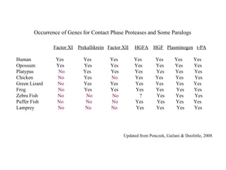 Occurrence of Genes for Contact Phase Proteases and Some Paralogs Factor XI   Prekallikrein   Factor XII   HGFA   HGF   Plasminogen   t-PA Human  Yes  Yes  Yes  Yes  Yes  Yes  Yes Opossum  Yes  Yes  Yes  Yes  Yes  Yes  Yes Platypus  No   Yes  Yes  Yes  Yes  Yes  Yes Chicken  No   Yes  No   Yes  Yes  Yes  Yes  Green Lizard  No   Yes  Yes  Yes  Yes  Yes  Yes  Frog  No   Yes  Yes  Yes  Yes  Yes  Yes Zebra Fish  No   No   No   ?  Yes  Yes  Yes Puffer Fish  No   No  No   Yes  Yes  Yes  Yes Lamprey  No   No   No   Yes  Yes  Yes  Yes Updated from Ponczek, Gailani & Doolittle, 2008 