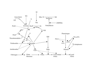 Fibrinogen Fibrin Monomer Fibrin Cross-linked Fibrin Lysed Fibrin Thrombin Antithrombin Thrombomodulin Prothrombin Xa TAFI XIIIa XIII Plasmin Plasminogen u-PA t-PA PAI-1 VIIIa XIa IXa XI X Va ProtC VIII V TF/fVII VII tissue factor TFI APC ProtS Pro-u-PA -Antiplasmin  2 IX XIIa Kallikrein XII Prekallikrein (HMWK) 