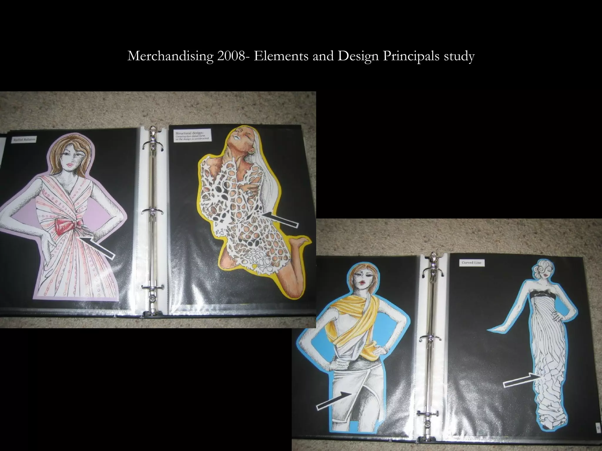 Merchandising 2008- Elements and Design Principals study