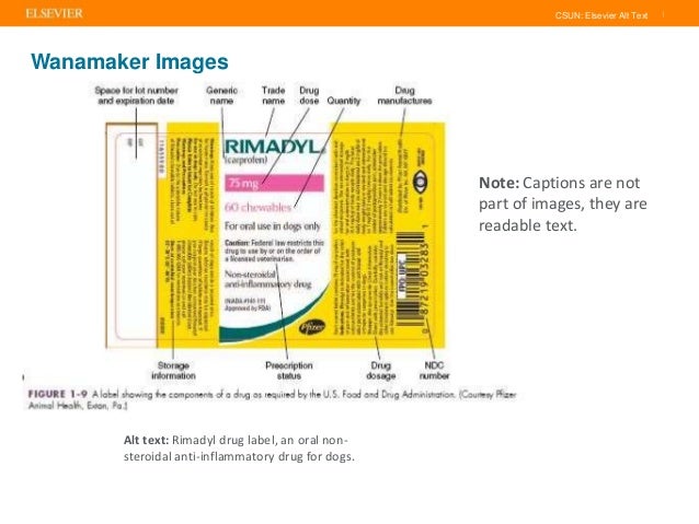 elsevier csun alt text project csun org chart