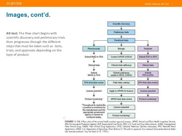 elsevier csun alt text project csun org chart