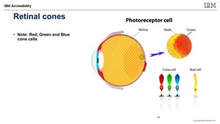 © Copyright IBM Corporation 2017
Retinal cones
• Note: Red, Green and Blue
cone cells
14
 