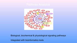 Colorado State University Next Generation Sequencing Core 060915 | PPT