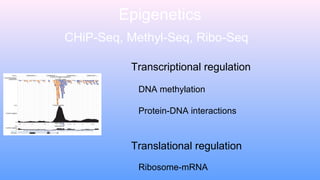 Colorado State University Next Generation Sequencing Core 060915 | PPT