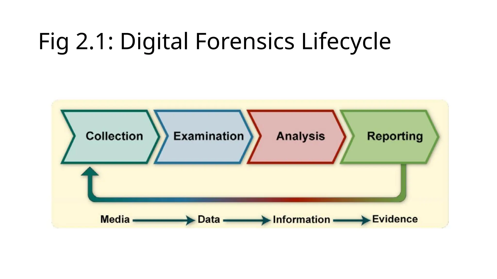 Fig 2.1: Digital Forensics Lifecycle
 