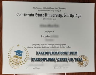 CSU Northridge degree.pdf