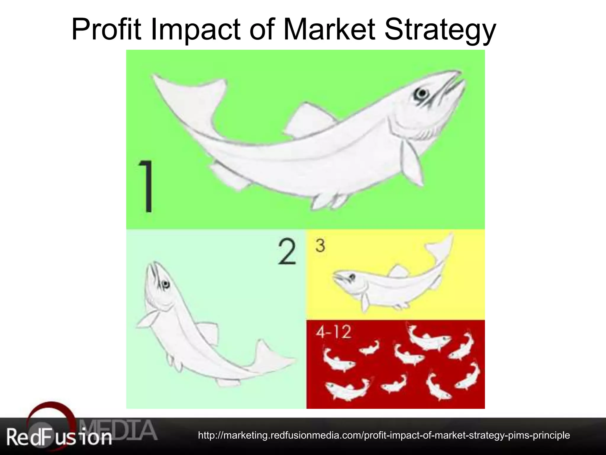 Profit Impact of Market Strategy 
http://marketing.redfusionmedia.com/profit-impact-of-market-strategy-pims-principle 
 