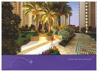 Paramount Emotions Brochure