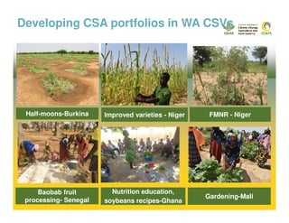 Climate-Smart Village approach in West Africa