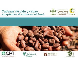 Cadenas de café y cacao
adaptadas al clima en el Perú
 