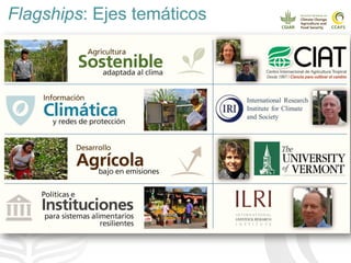 Cadenas de café y cacao adaptadas al clima en el Perú