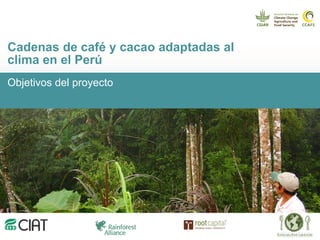 Cadenas de café y cacao adaptadas al clima en el Perú