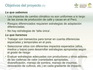 Cadenas de café y cacao adaptadas al clima en el Perú