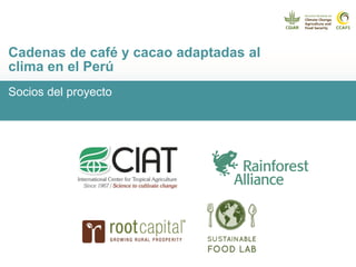 Cadenas de café y cacao adaptadas al clima en el Perú