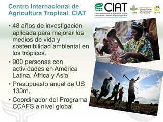 Cadenas de café y cacao adaptadas al clima en el Perú