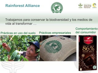 Cadenas de café y cacao adaptadas al clima en el Perú