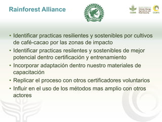 Cadenas de café y cacao adaptadas al clima en el Perú