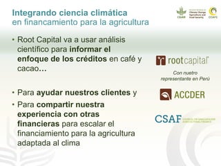 Cadenas de café y cacao adaptadas al clima en el Perú