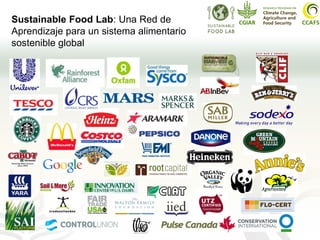 Cadenas de café y cacao adaptadas al clima en el Perú