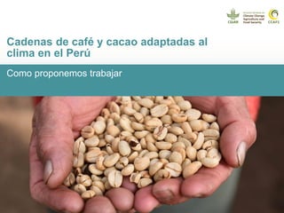 Cadenas de café y cacao adaptadas al clima en el Perú