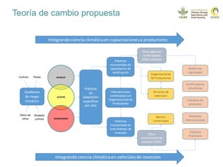 Cadenas de café y cacao adaptadas al clima en el Perú